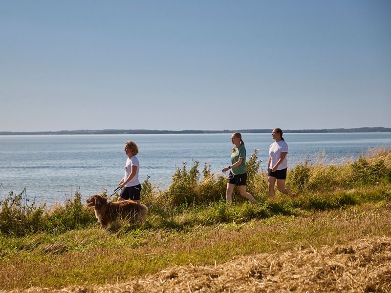 faciliteter hund gaature langeland